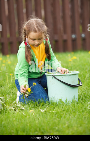 Bambina lavora in giardino, ripulendo dalle erbacce di tarassaco da prato Foto Stock