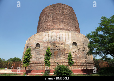 Dhamekh stupa di Sarnath, a Deer Park, dove il Buddha ha dato il suo primo sermone, vicino a Varanasi in Uttar Pardesh, India. Foto Stock