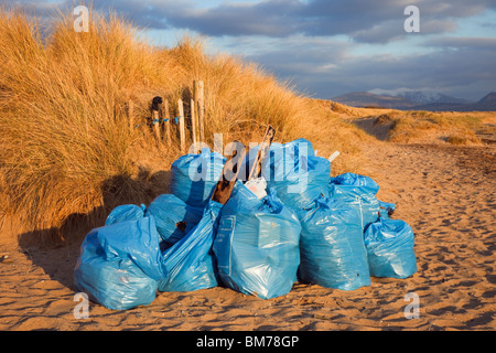 Sacchetti di lettiera raccolto su una spiaggia. Foto Stock