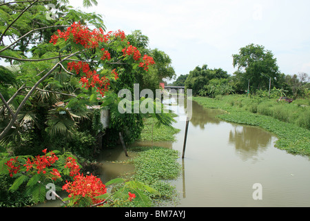 Fiume nella periferia di Bangkok, Tailandia. Foto Stock