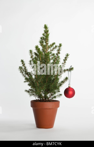 Un piccolo albero di Natale decorato con una pallina Foto Stock