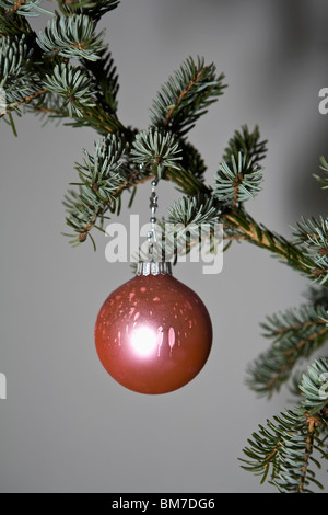 Una palla di Natale ornamento pendente da un ramo di albero Foto Stock