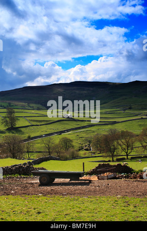 Le Yorkshire Dales National Park vicino al villaggio di Malham. Foto Stock