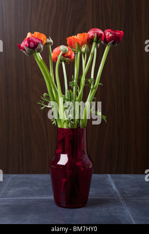 Peonie e Ranunculus fiori in un vaso Foto Stock