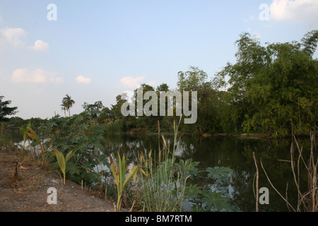 Fiume nella periferia di Bangkok, Tailandia. Foto Stock