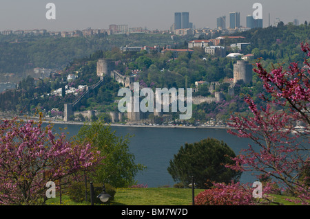 Rumeli Hisari,Thracian Castle,1452 fortezza,giuda-tree,affacciato sul Bosforo, Istanbul Foto Stock