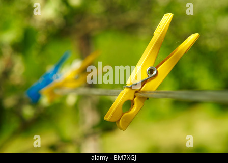 Pioli multicolore pin su una linea di lavaggio Foto Stock