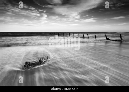 Un pezzo di driftwood di essere catturati dalla ritirata di marea, prese a Warren, Folkestone, Kent. Foto Stock