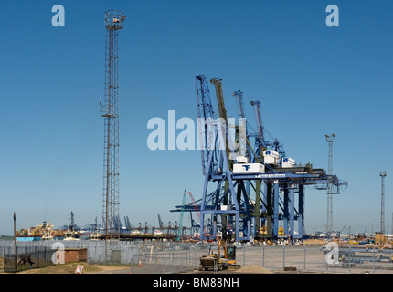 Le gru del porto di Felixstowe nel Suffolk. Foto di Gordon Scammell Foto Stock