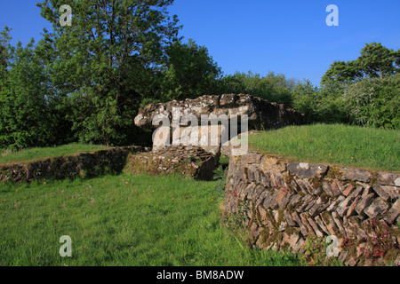 Tinkinswood sepoltura camera,St Nicholas Vale of Glamorgan, South Wales, Regno Unito Foto Stock