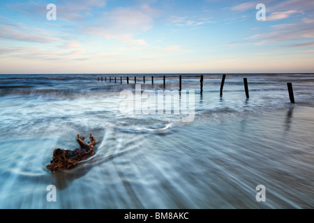 Un pezzo di driftwood di essere catturati dalla ritirata di marea, prese a Warren, Folkestone, Kent. Foto Stock