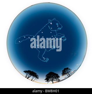 Immagine del segno di astrologia, Orsa Maggiore, sfondo bianco Foto Stock