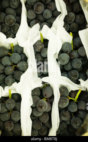 Grappoli di uva avvolti in carta, vicino, frame completo Foto Stock