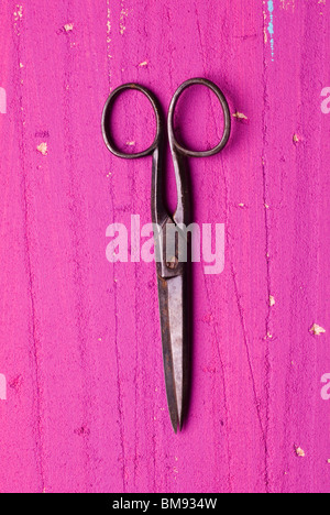 Vecchio arrugginito del barbiere paio di forbici su una rosa di sfondo di legno Foto Stock