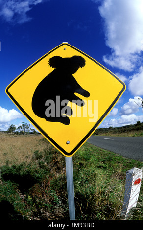 Australia, Victoria Road, segno, Koala. Foto Stock