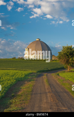 Whitman County, WA sole mattutino sul round barn e strada di ghiaia sotto cieli di compensazione Foto Stock