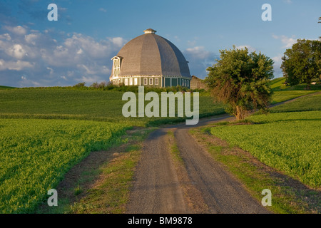 Whitman County, WA sole mattutino sul round barn e strada di ghiaia sotto cieli di compensazione Foto Stock