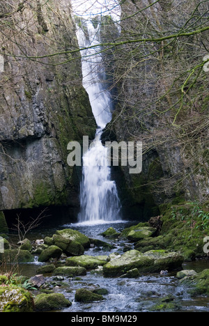 Forza Catrigg cascata, vicino Stainforth in Ribblesdale, Yorkshire Dales National Park, Inghilterra, Regno Unito. Foto Stock