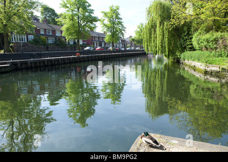 Tira il traghetto, storico e famoso edificio watergate nel centro città di Norwich sul fiume Wensum Foto Stock