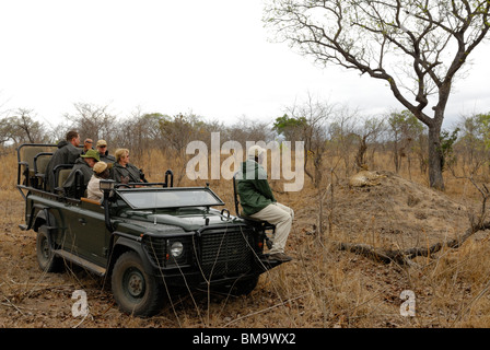 I turisti a guardare ghepardo su game drive in Sabi Sand Riserva Privata a Mpumalanga Provincia, Sud Africa Foto Stock