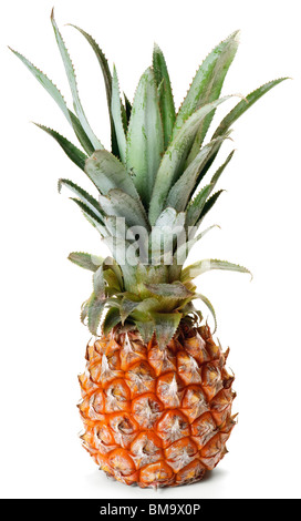 Ananas frutta tropicale isolata su sfondo bianco Foto Stock