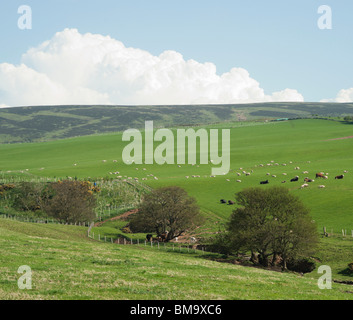 Terreni agricoli ai piedi delle colline di Lammermuir in Scozia vicino Gifford, East Lothian Foto Stock