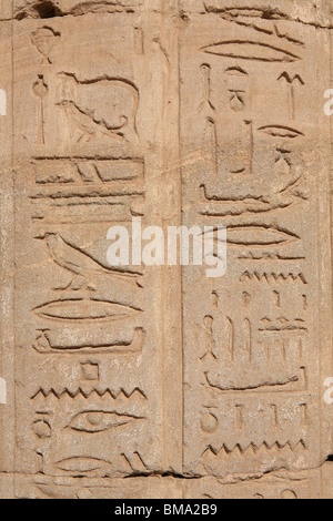 Geroglifici sulle pareti del Tempio di Horus in Edfu, Egitto Foto Stock