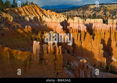 Bryce National Park nello Utah Stati Uniti d'America sud-ovest Foto Stock