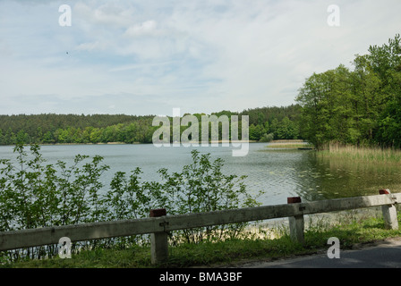 Paesaggi - La Masuria Lake District in Polonia, Europa (Mazury, Polska) - Lago Sosno (Jezioro Sośno) Foto Stock