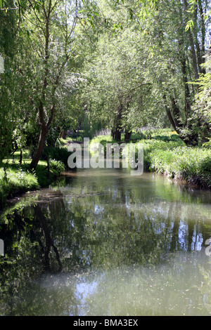 I pesci Pub giardino, Seacourt Stream, North Hinksey, Thames tributario, Oxford, Inghilterra Foto Stock