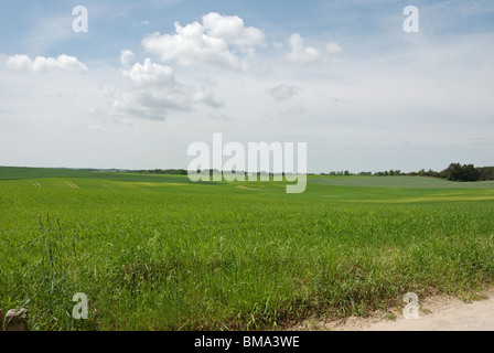 Paesaggi - La Masuria Lake District in Polonia, Europa (Mazury, Polska) - Foto Stock