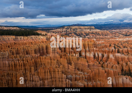 Bryce National Park nello Utah Stati Uniti d'America sud-ovest Foto Stock