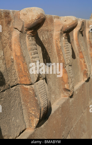 La facciata della Cobra Palace presso il complesso funerario di Djoser a Saqqara, Egitto Foto Stock