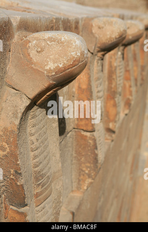 La facciata della Cobra Palace presso il complesso funerario di Djoser a Saqqara, Egitto Foto Stock