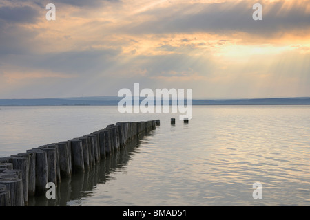 Tramonto sul lago Neusiedl, Illmitz, Burgenland, Austria Foto Stock