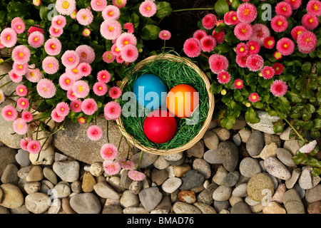 Uova di Pasqua e in inglese margherite Foto Stock