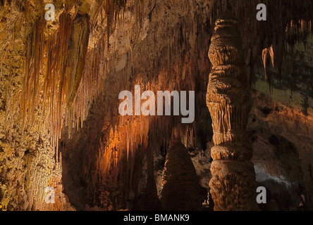 Caverne (speleothem) nella camera grande parco nazionale di Carlsbad Cavern, Nuovo Messico Foto Stock