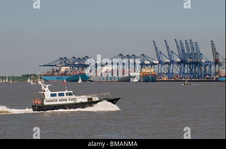 Un pilota di Harwich in barca a vela nel porto di Felixstowe nel Suffolk. Foto Stock