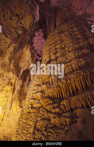 Rock Of Ages, parco nazionale di Carlsbad Cavern, Nuovo Messico Foto Stock