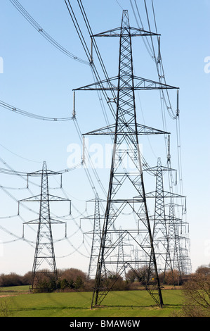 National Grid elettricità tralicci, Suffolk, Inghilterra. Foto Stock