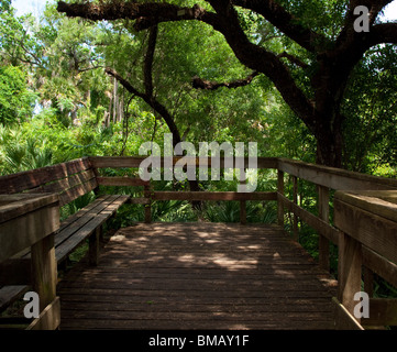 La Turchia Creek fluisce nella laguna del fiume Indian a Palm Bay in Florida Foto Stock