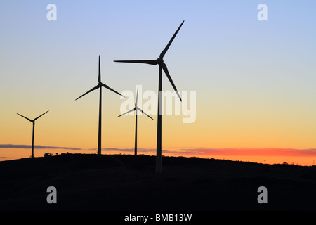 Wind Farm in Australia con un tramonto nel retro terra Foto Stock