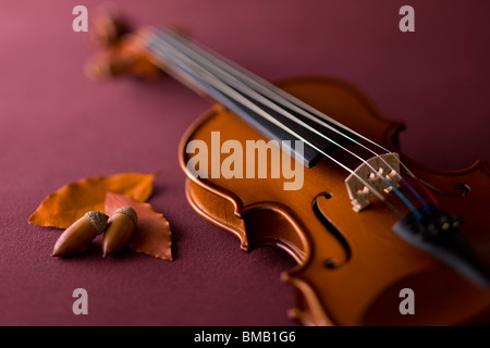 Violino e Acorn Foto Stock