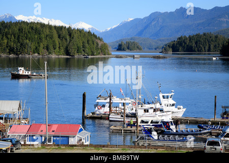 Tofino, Isola di Vancouver, British Columbia, Canada Foto Stock