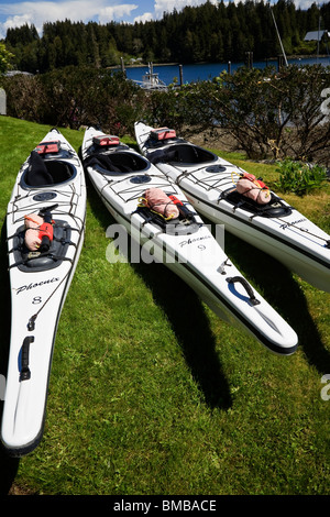Kayak a Bamfield sulle isole di Vancouver west coast, British Columbia, Canada Foto Stock