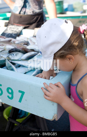 Pesce al mercato del Vieux Port, Marseille Foto Stock