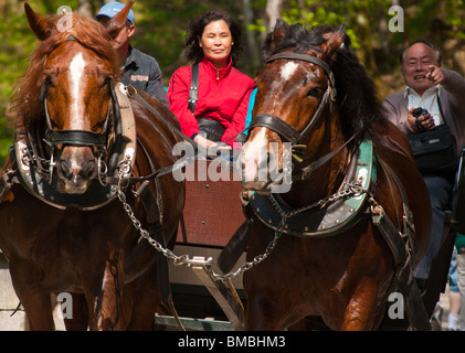 I turisti cinesi in Germania di gustare un tradizionale cavallo carrozza vicino al Castello di Neuschwanstein. Foto Stock