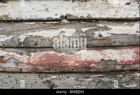 Legno marcescente Foto Stock