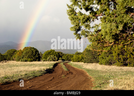 Una rara mattina presto rainbow cattura la bellezza del Lincoln National Forest nel sud del Nuovo Messico. Foto Stock