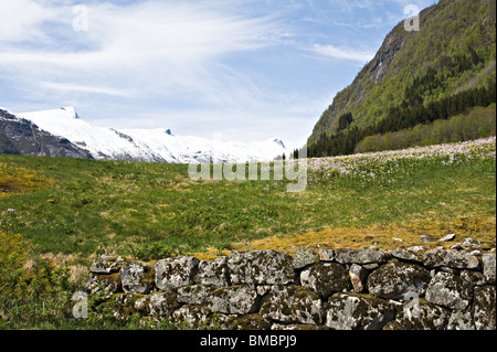 Coperta di neve montagna creste con prateria fiori e il vecchio muro di pietra nel villaggio Mundal Fjaerland Sogn Norvegia Foto Stock